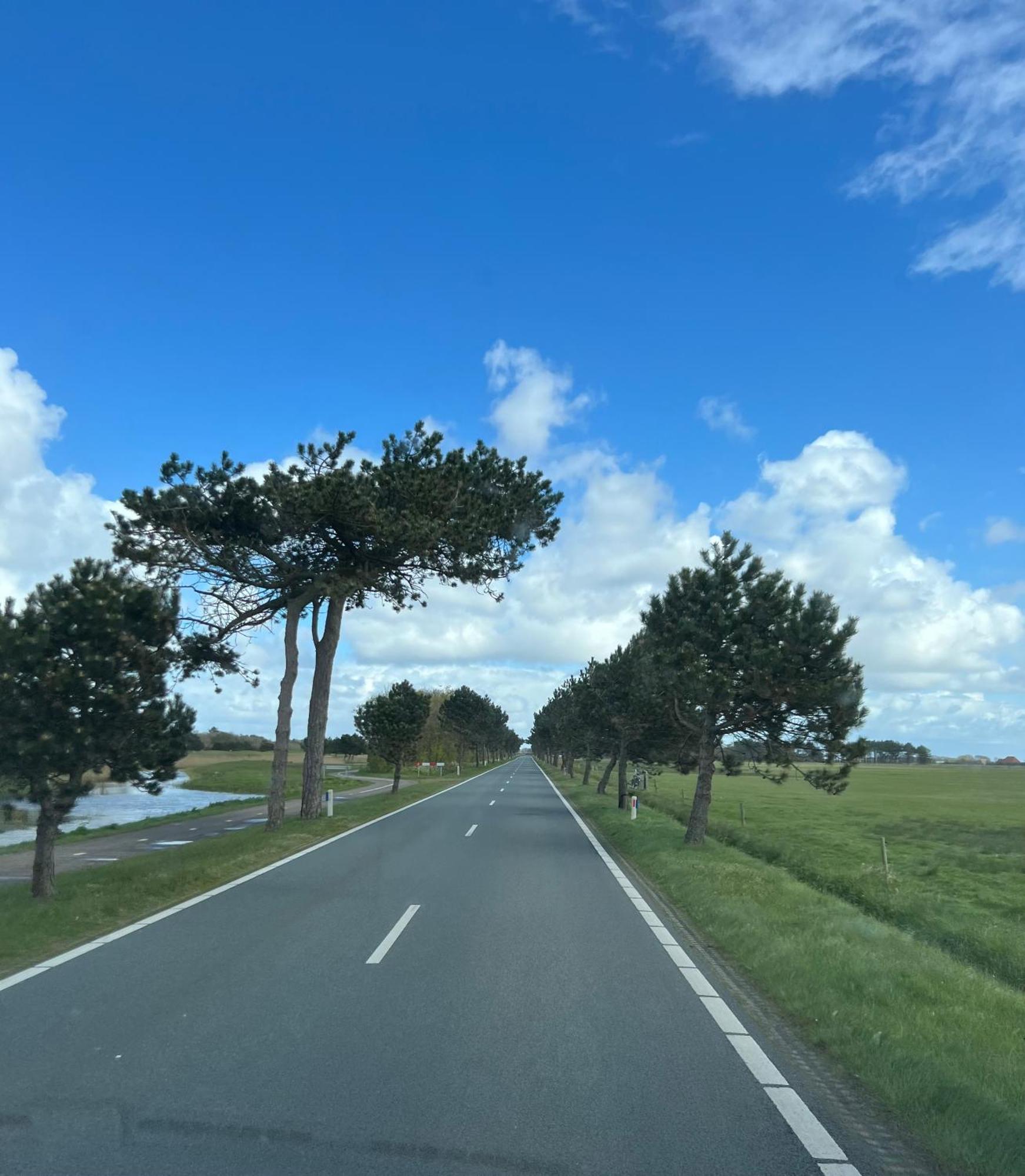 Appartement De Kompaan, Resort Amelander Kaap 霍勒姆 外观 照片